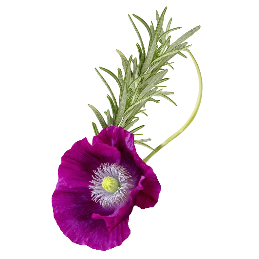 Black Fire Opal Front