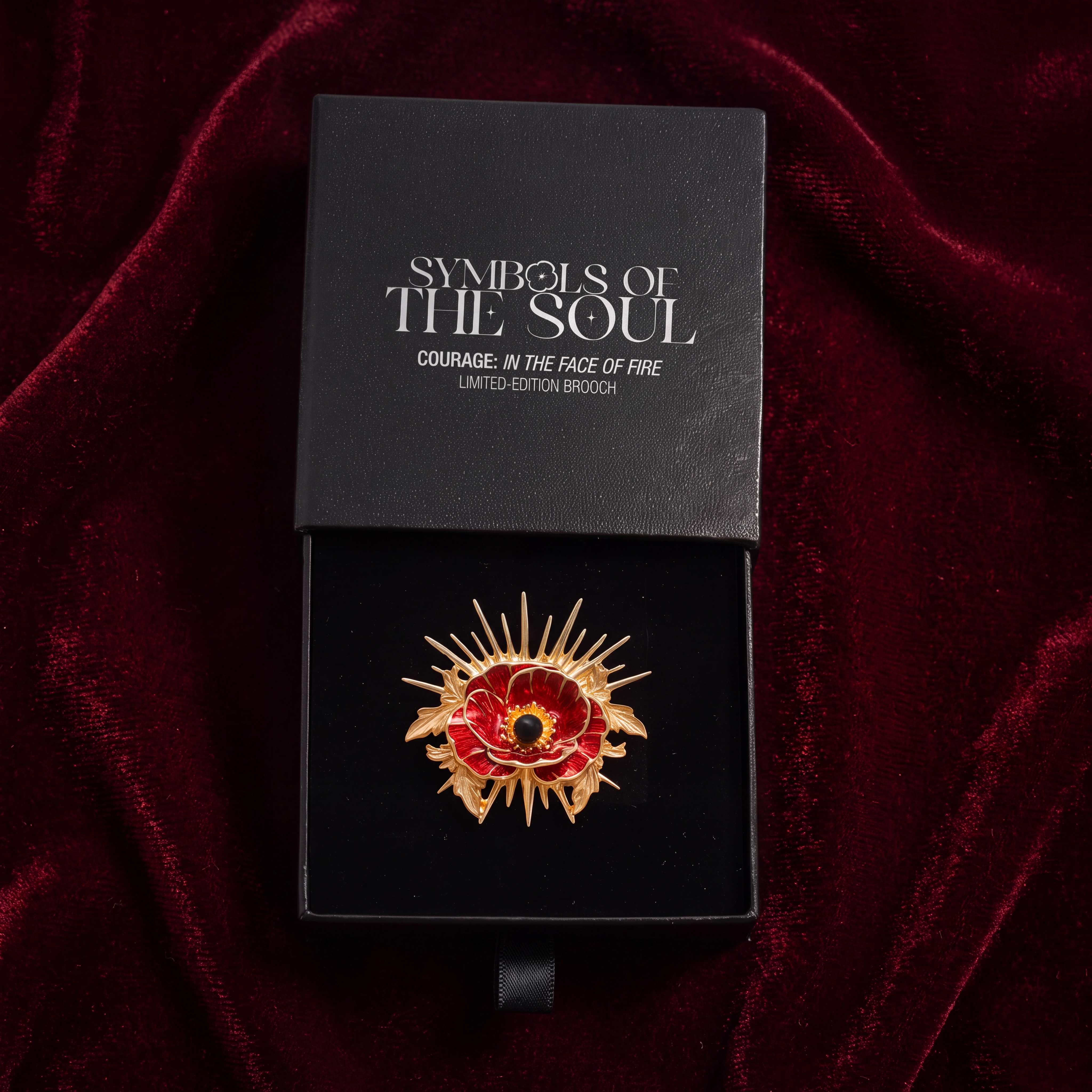 Courage brooch in box