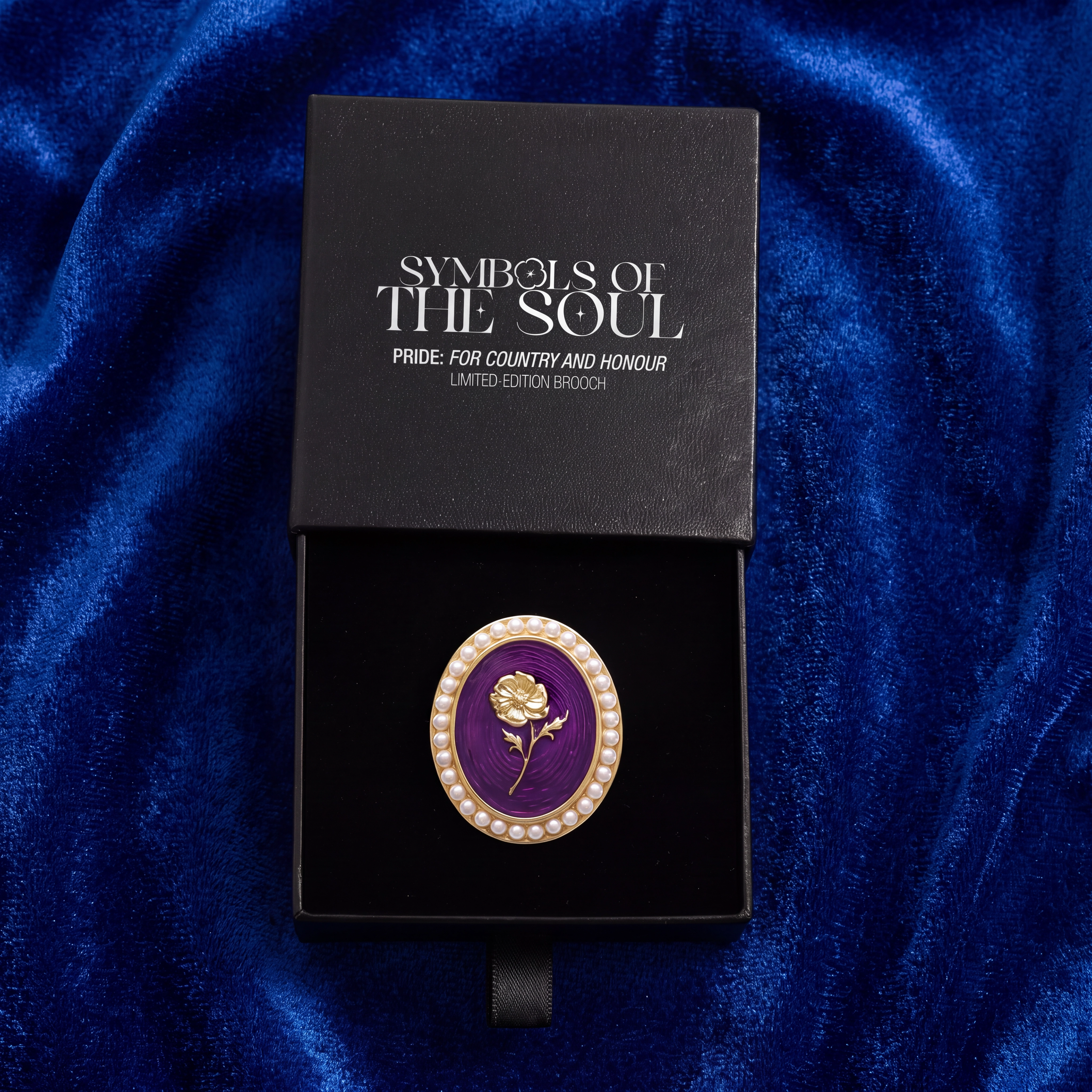 Pride brooch in box