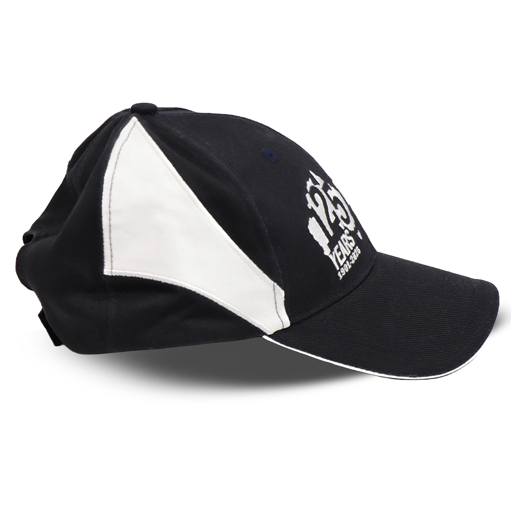 Royal Australian Navy 125th Anniversary Desk Paper Weight on a Desk